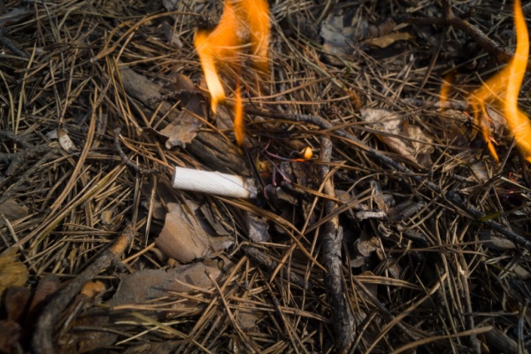 Prévention des incendies de forêts : la responsabilité élargie des producteurs (REP) du tabac est mise au travail ! thumbnail
