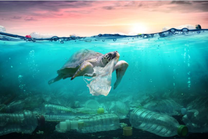 Plastique à usage unique : vers une obligation de marquage environnemental  au 3 juillet 2021 pour certains produits - Red On Line (FR)